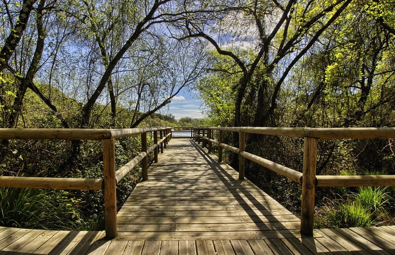 Ecotourism Tips