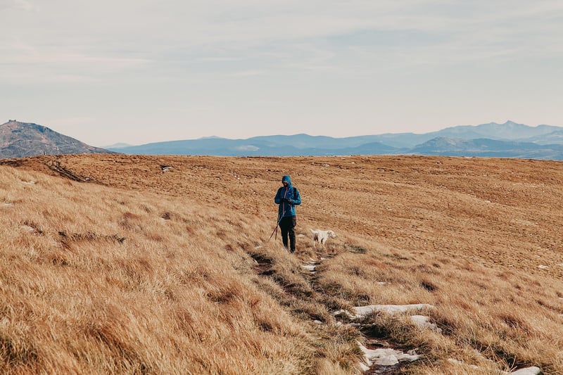 Mountain Guide